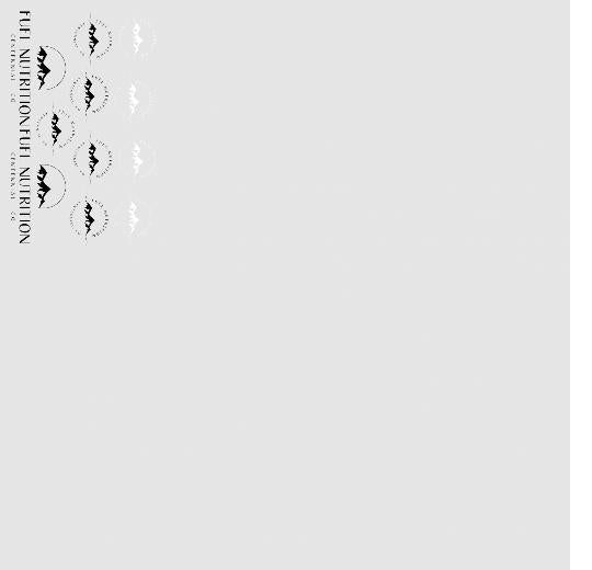 12X19 Gang Sheet as low as